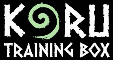 koru-training-box-fuenlabrada